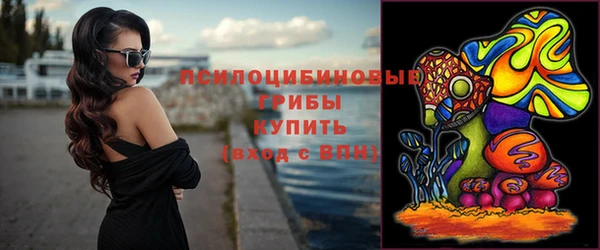 индика Аркадак