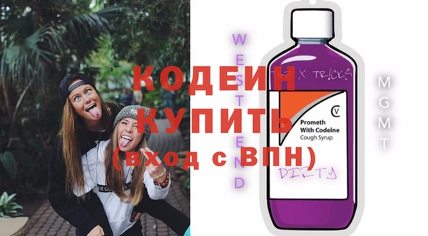 индика Аркадак