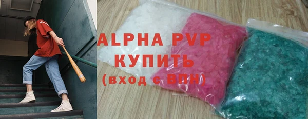индика Аркадак