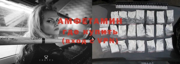 индика Аркадак