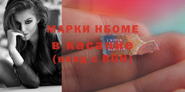 индика Аркадак