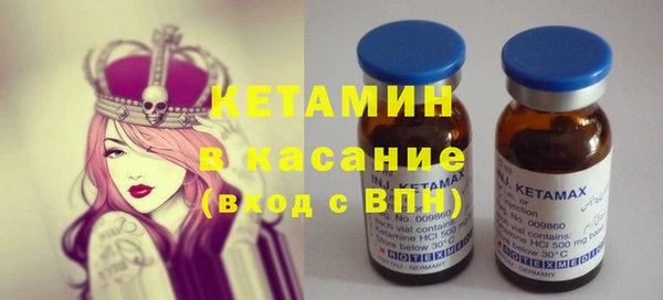 индика Аркадак