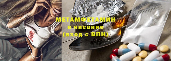 индика Аркадак