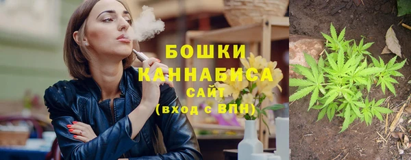 индика Аркадак