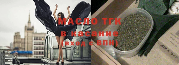 индика Аркадак