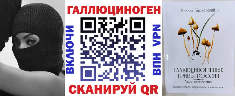 закладки Зима Псилоцибиновые грибы Psilocybe